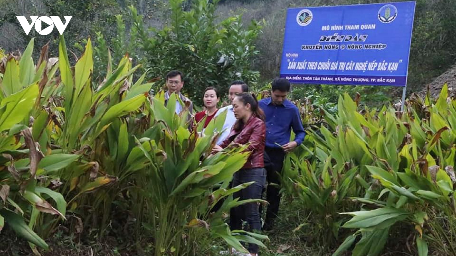 Bước chuyển mình mạnh mẽ từ mô hình hợp tác xã kiểu mới