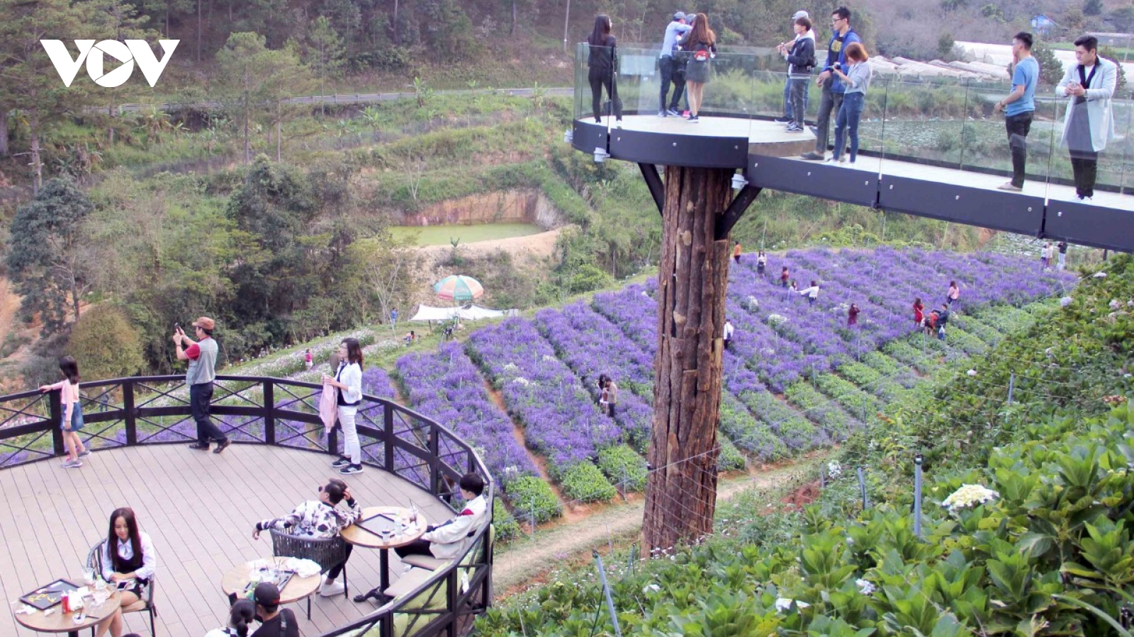 Du lịch canh nông Lâm Đồng: khắc phục bất cập để vươn tầm quốc gia, quốc tế