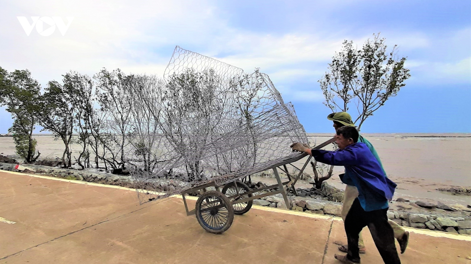 Người đàn ông ngày đêm góp công sức, bảo vệ đê biển Tây, Cà Mau