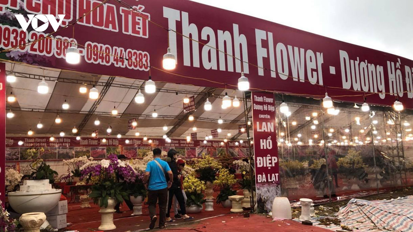 Hà Nội sẽ tổ chức 89 điểm chợ hoa Xuân Tết Tân Sửu 2021