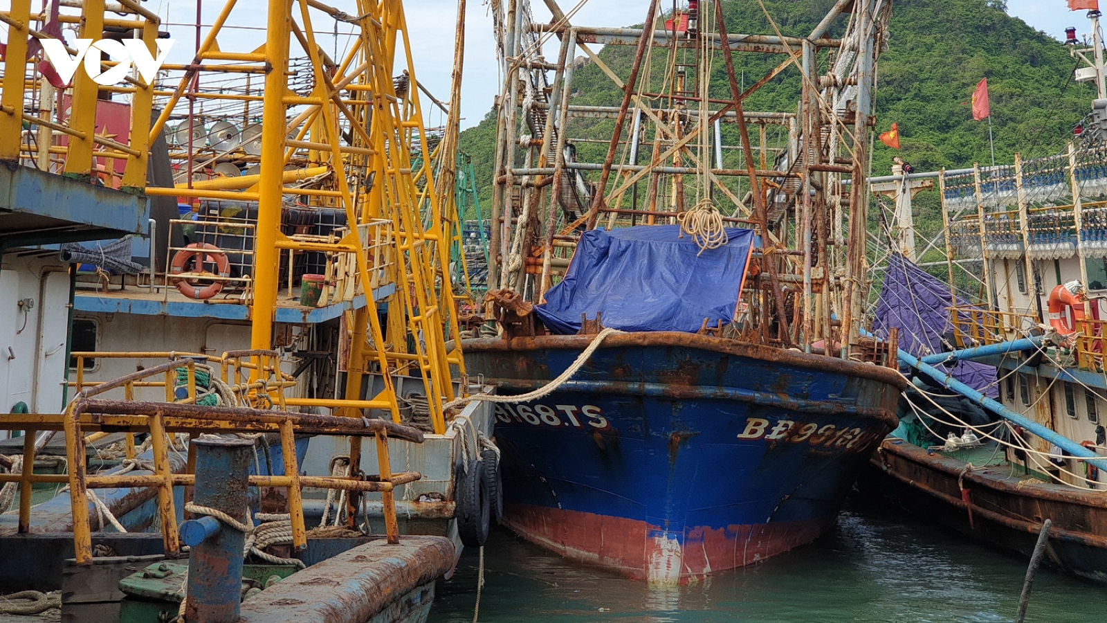 Một công ty bảo hiểm đã bán bảo hiểm cho tàu vỏ thép 67