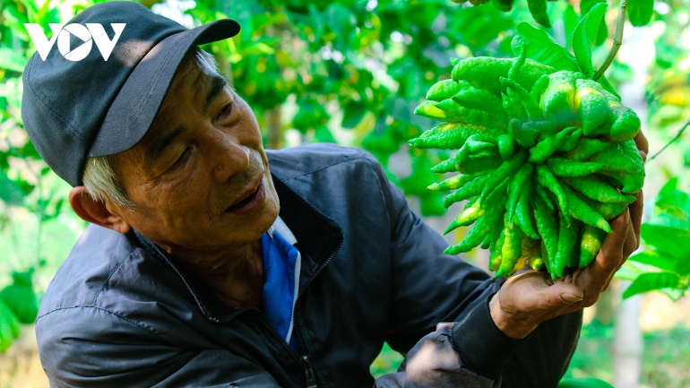 Làng Phật thủ Đắc Sở - “Tết này không được như Tết qua”