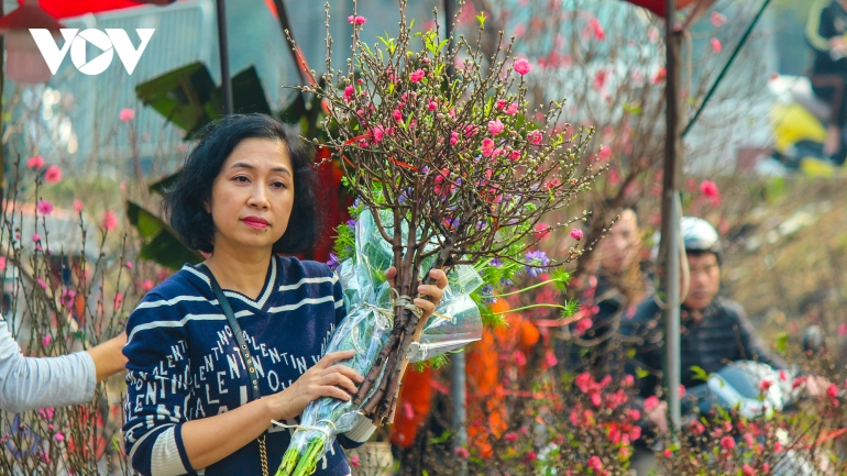 Chợ hoa Quảng Bá nhộn nhịp người mua đào chơi Tết