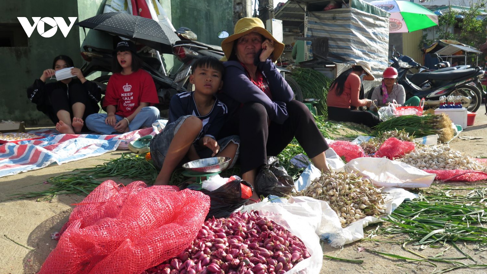 Tỏi mất giá, Tết của người dân Lý Sơn kém vui