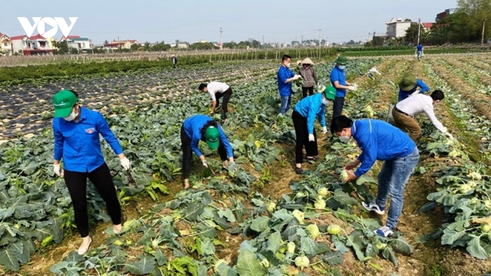 Thấy màu áo xanh là thấy hy vọng