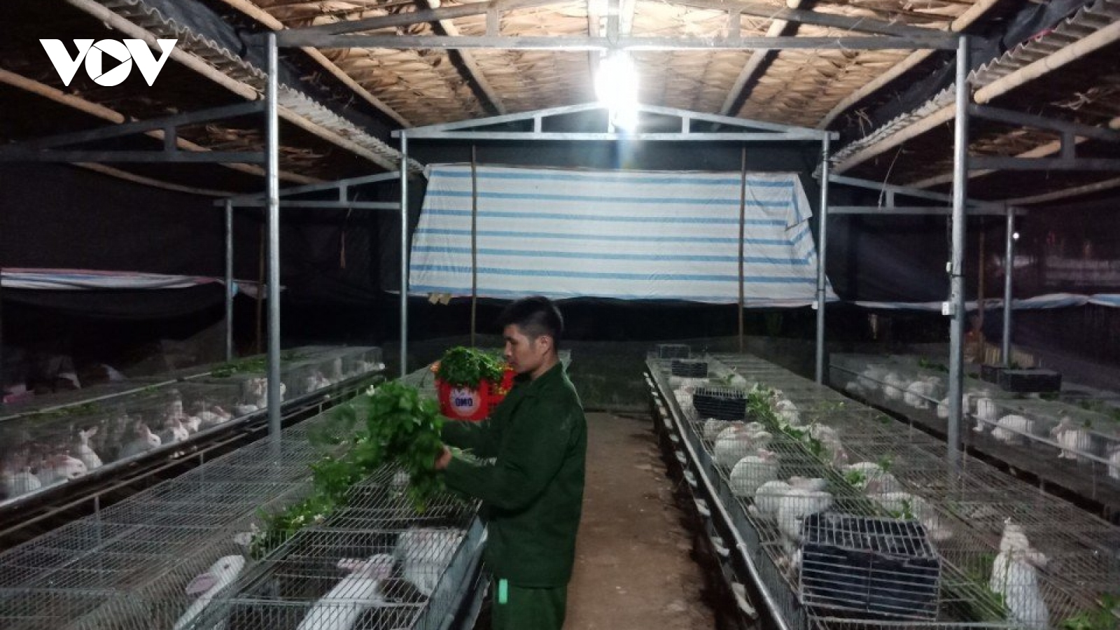 Thanh niên làm giàu từ các sản phẩm đạt tiêu chuẩn OCOP hạng 3 sao