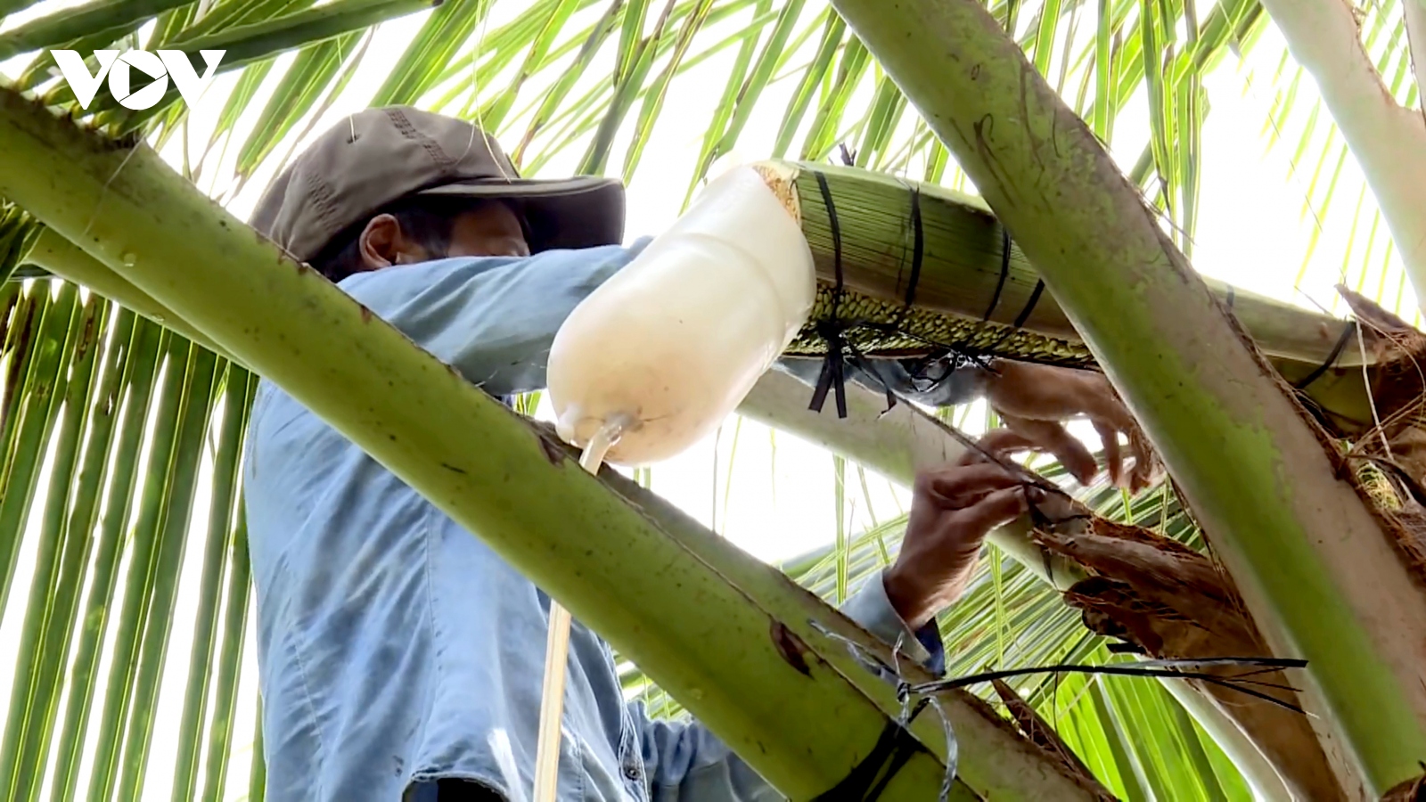 Ấn tượng với những thanh niên “mê” khởi nghiệp từ nông sản ở Trà Vinh