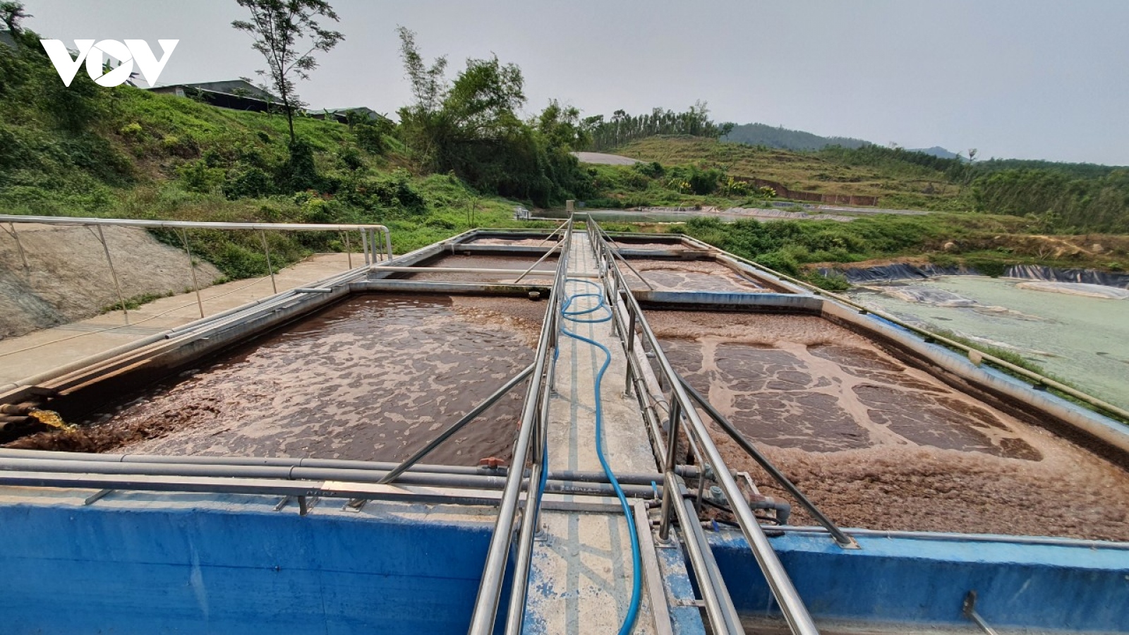 Người dân Quảng Nam dựng barie yêu cầu chủ trang trại heo dừng hoạt động