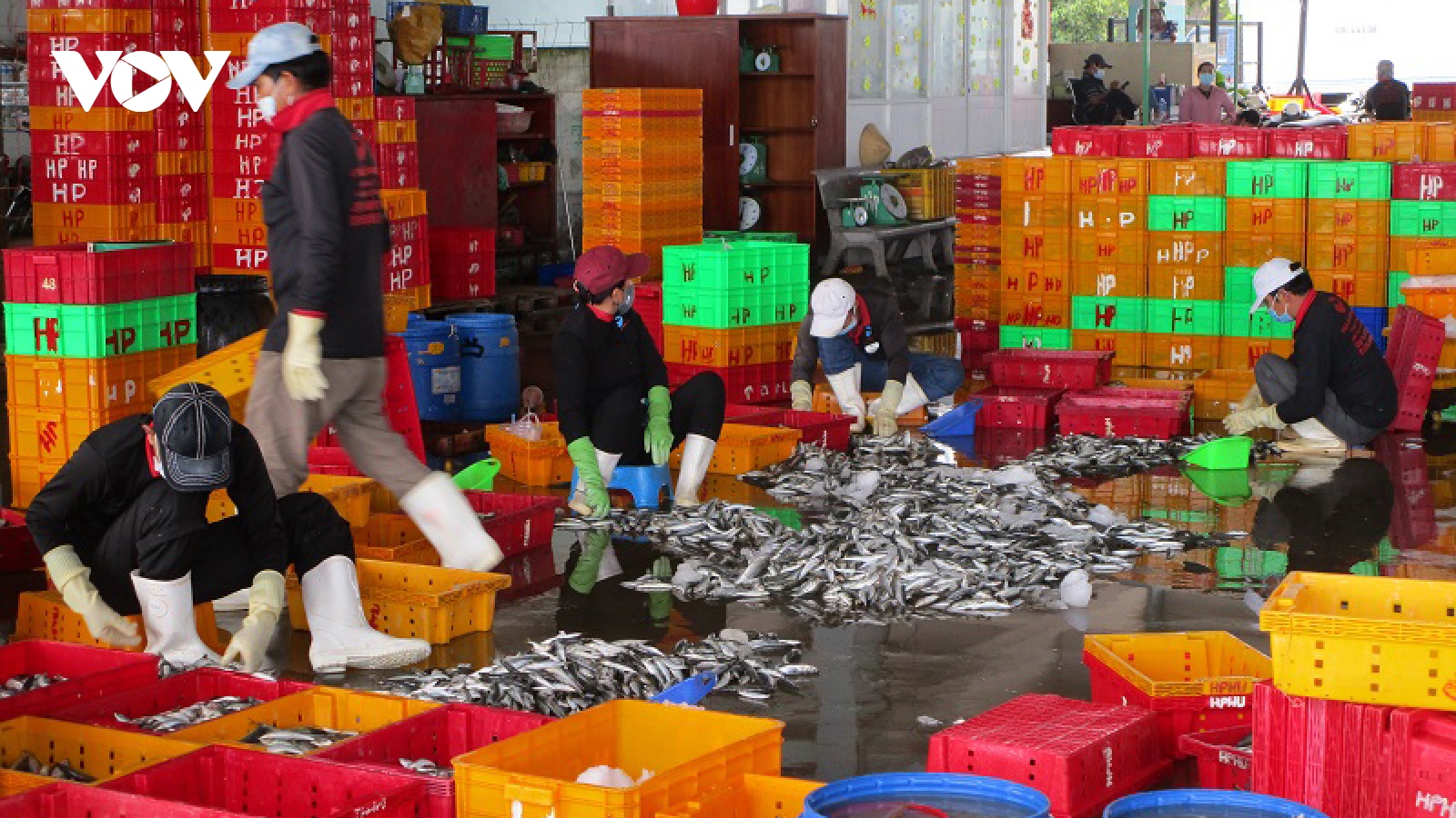 Doanh nghiệp điêu đứng khi hải sản “đóng băng” do dịch bệnh