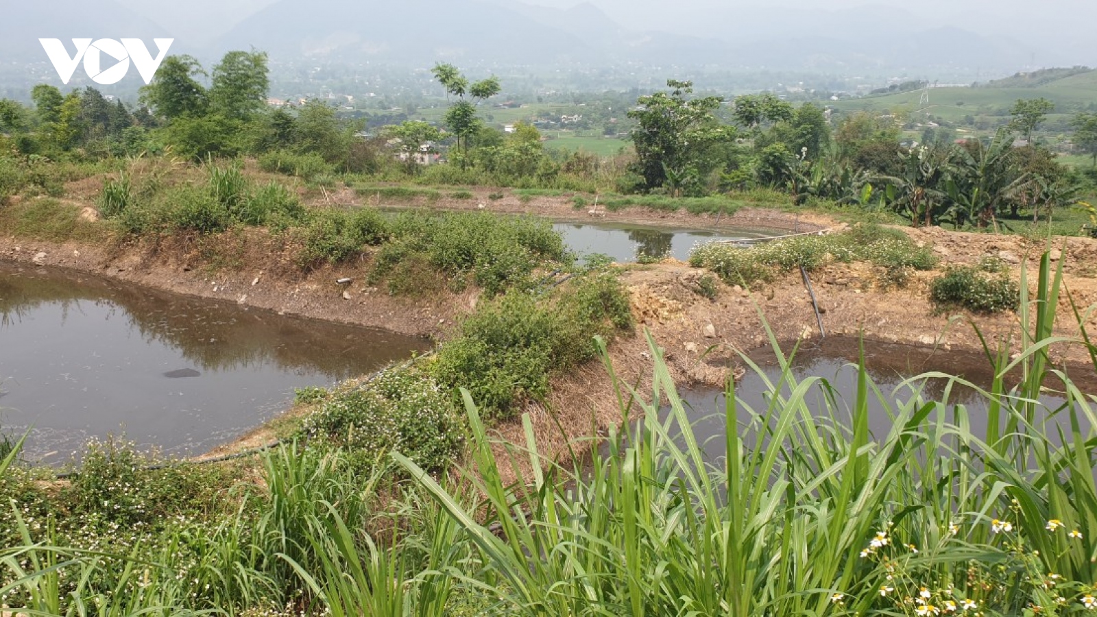 Công ty Minh Hiền YB bị phạt 450 triệu đồng do vi phạm về lĩnh vực bảo vệ môi trường