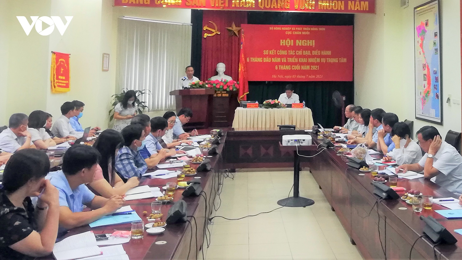 Ưu tiên nuôi gia súc ăn cỏ để gỡ khó cho ngành chăn nuôi