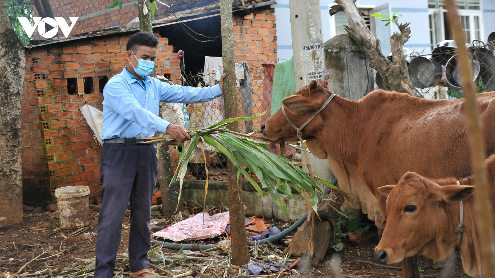 Nhiều địa phương nới lỏng biện pháp phòng dịch, đưa cuộc sống trở lại bình thường