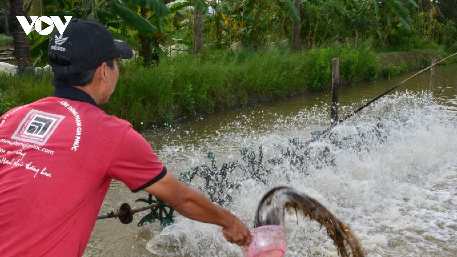 Doanh nghiệp miền Tây khốn đốn trong "cơn bão" Covid-19
