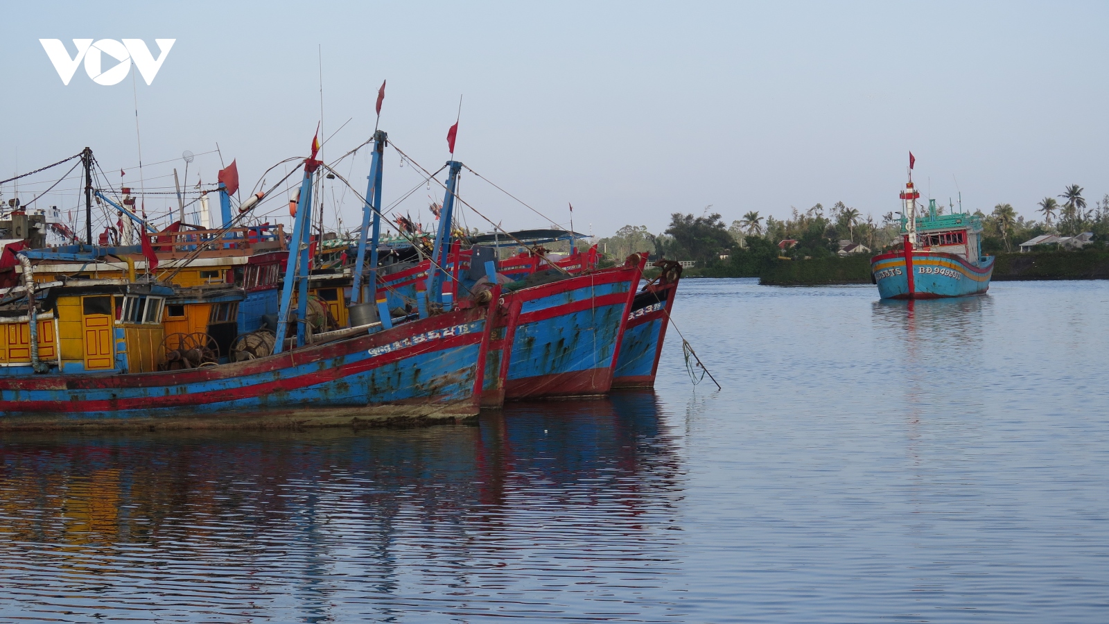 Tước chứng chỉ 10 thuyền trưởng do ngắt thiết bị giám sát hành trình