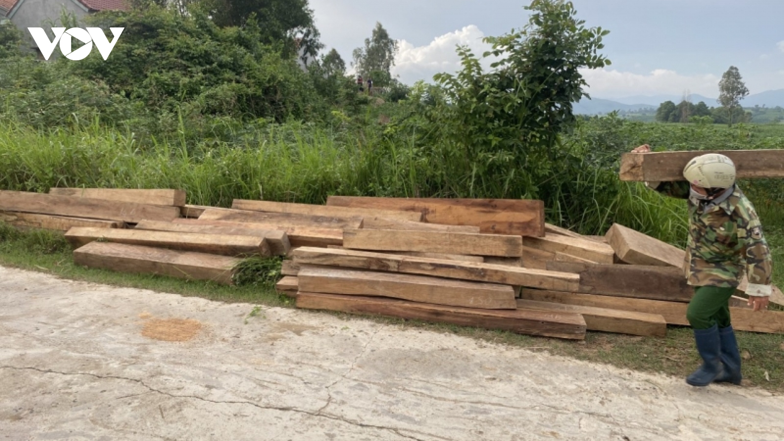 Phú Yên tạm đình chỉ công tác nhân viên bảo vệ rừng vì tàng trữ hơn 155 khúc gỗ