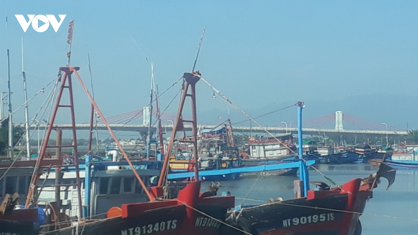 Ninh Thuận mở lại hoạt động cảng cá Đông Hải