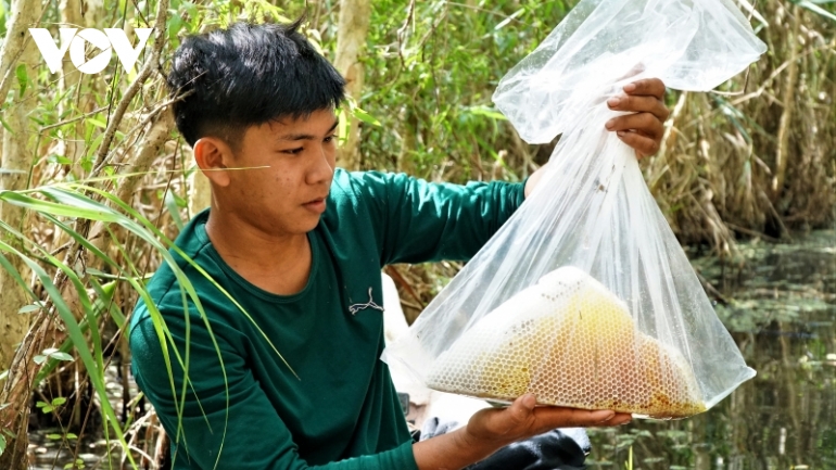 Đầu năm tìm hiểu về nghề “Ăn ong” nơi đất rừng U Minh hạ thời công nghệ