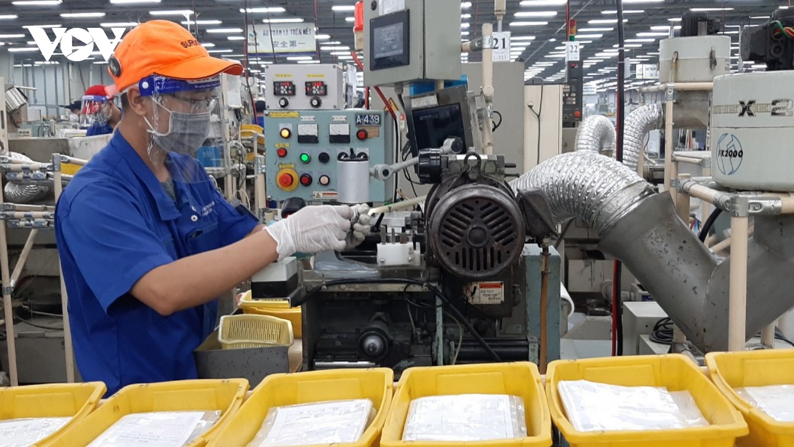 TP.HCM thích ứng an toàn và phát triển trong năm 2022