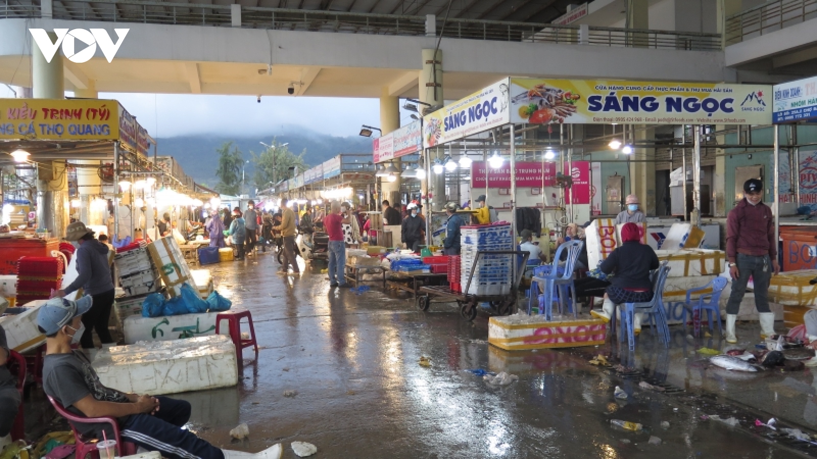 Ngư dân hối hả cập bến phiên biển cuối năm