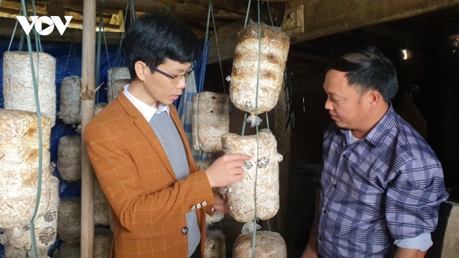 “Đỡ đầu” hộ nghèo theo địa chỉ - Cách làm hay ở vùng cao Bát Xát