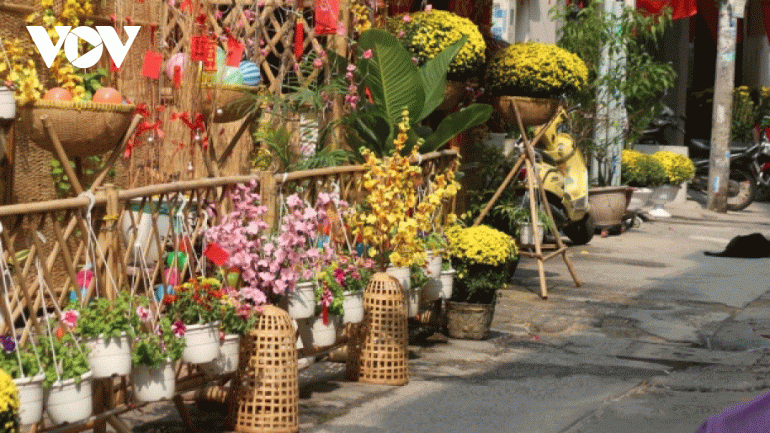 Tet decorations spring up in every HCM City corner