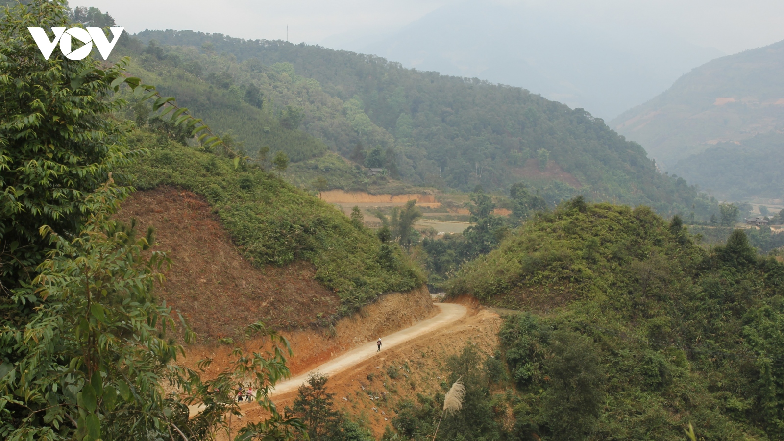 Những con đường mang mùa xuân đến sớm 