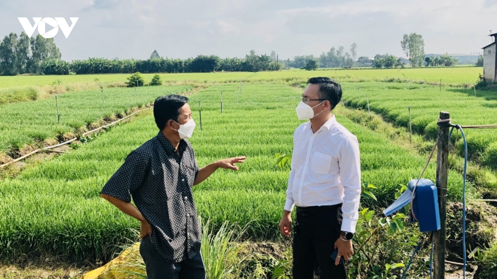 Cần Thơ tăng cường kết nối, tiêu thụ nông sản vào siêu thị, cửa hàng tiện ích