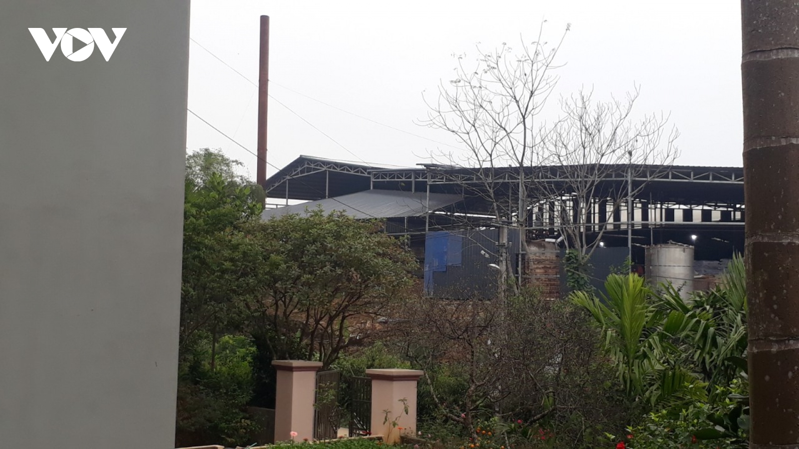 Nhiều hộ dân ở Yên Bái khốn khổ vì công ty chế biến gỗ