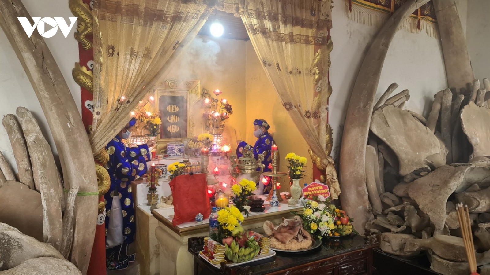 Độc đáo lễ Cầu ngư ở làng biển 400 tuổi