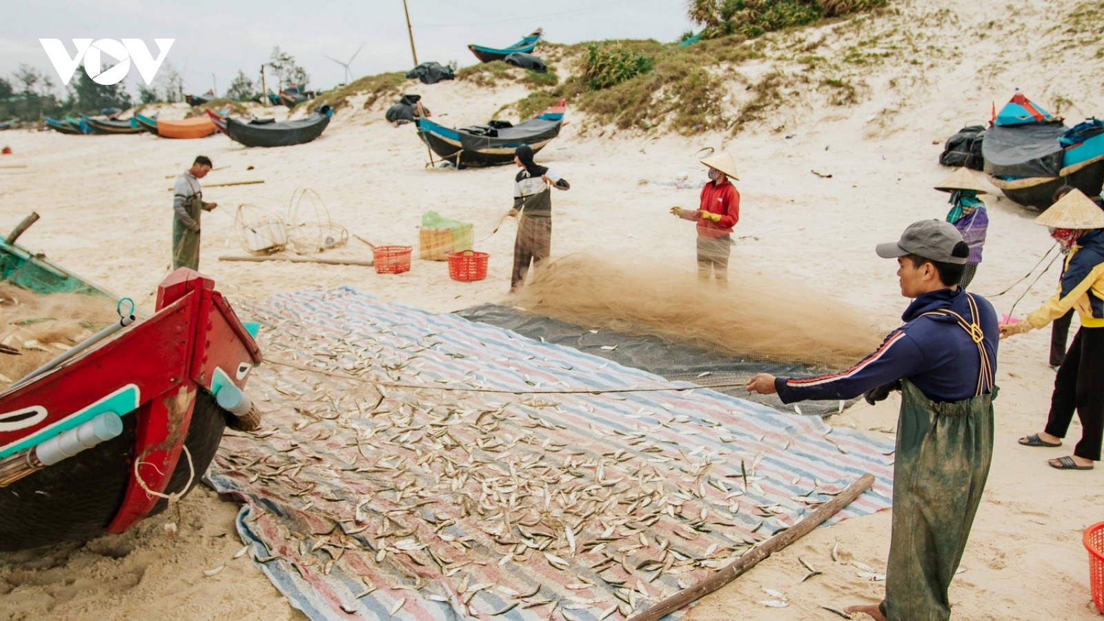 Ngư dân Quảng Bình rộn ràng mở biển đầu năm mới