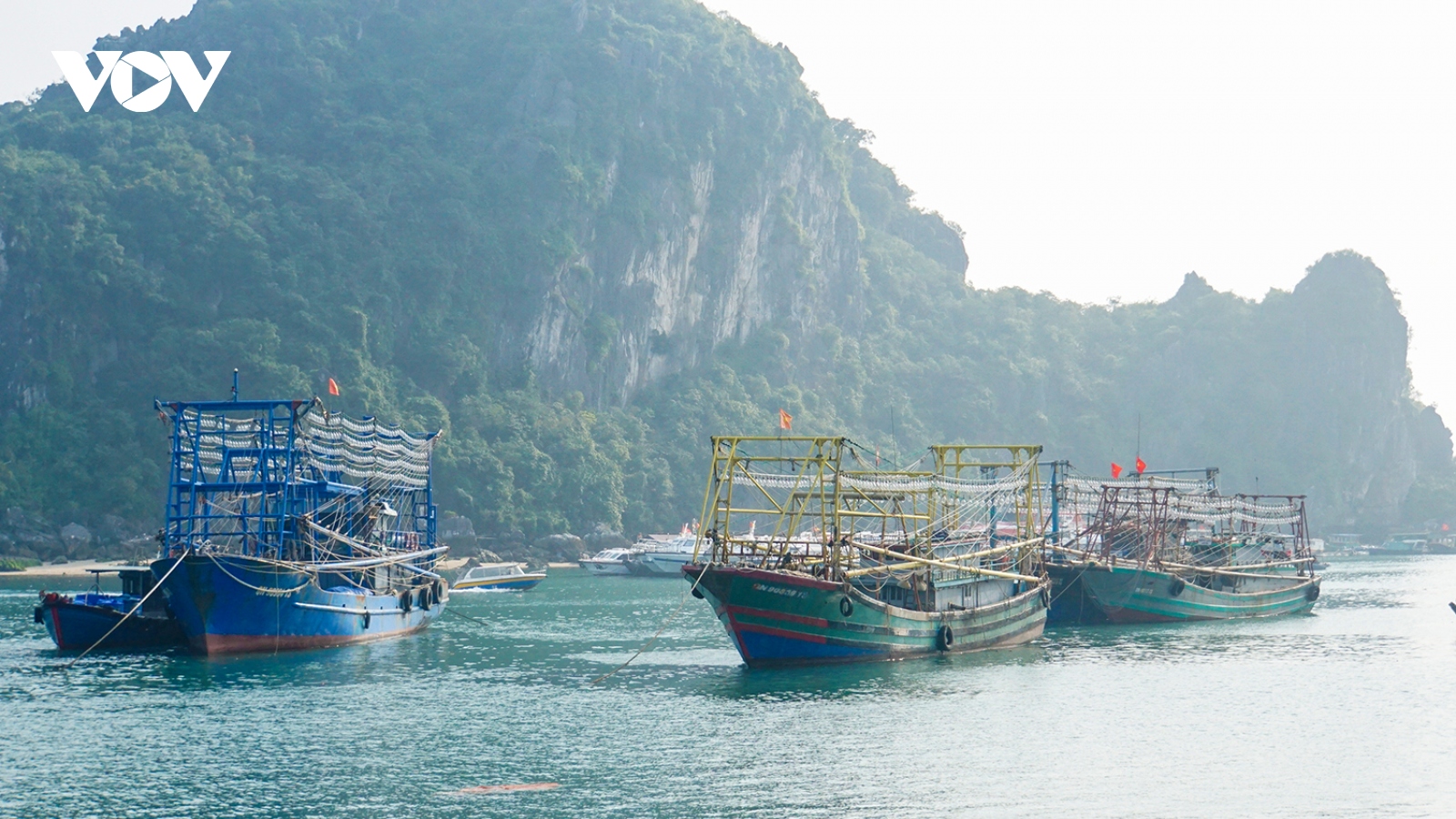 Quảng Ninh chung tay gỡ "thẻ vàng” thuỷ sản