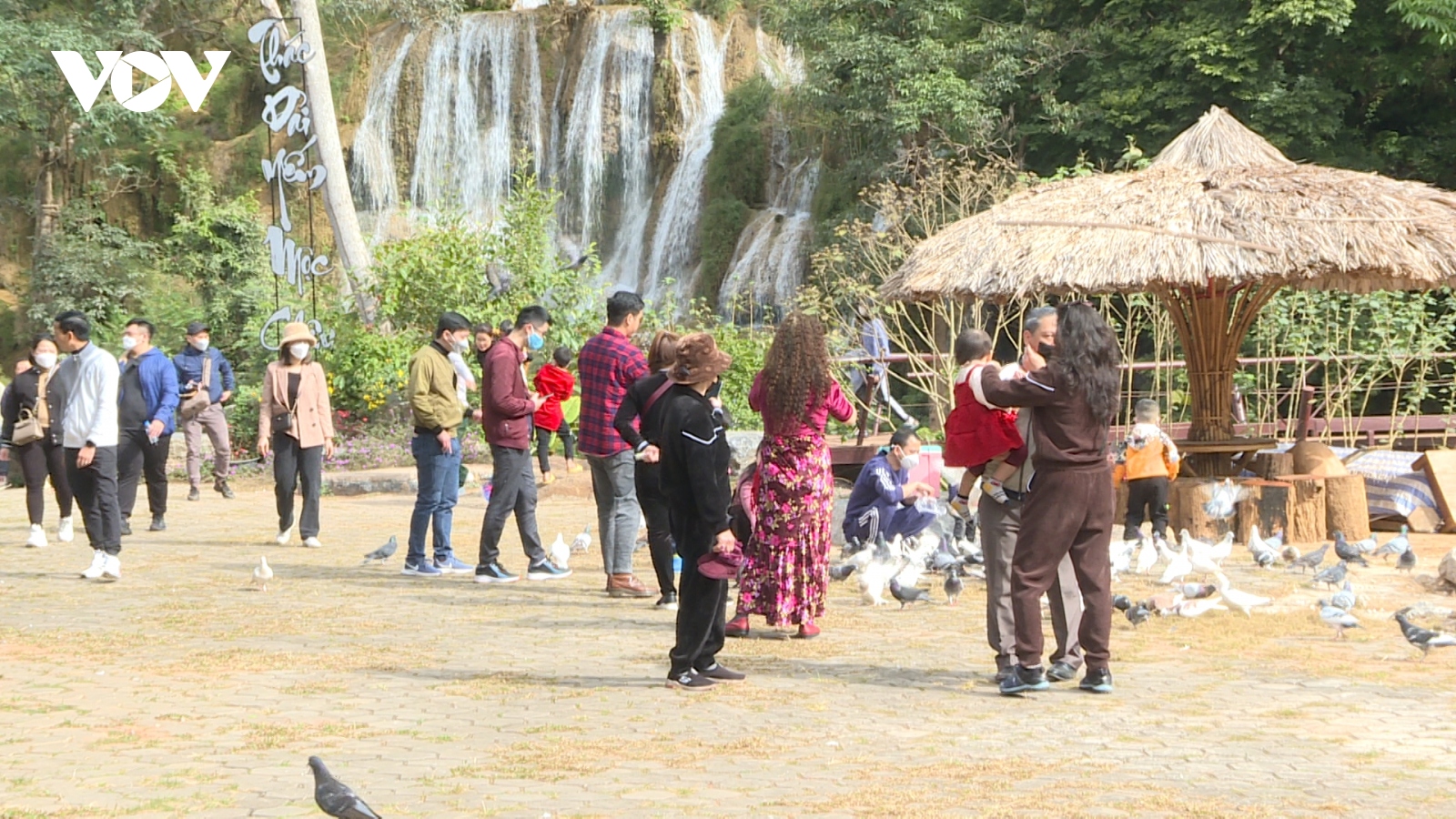 Du lịch Mộc Châu đón khách trong điều kiện bình thường mới