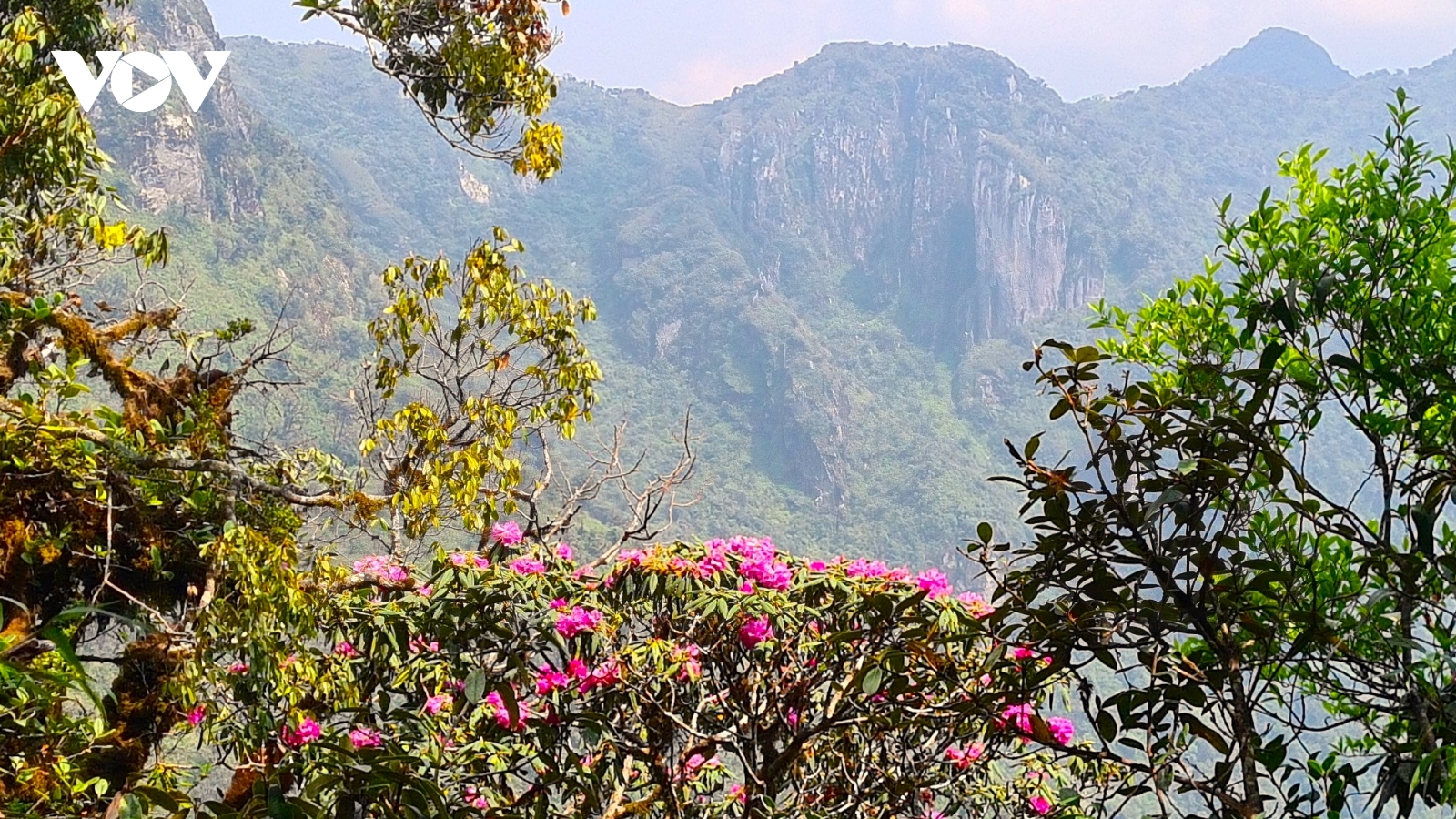 Về với những đỉnh núi Lai Châu kỳ vĩ