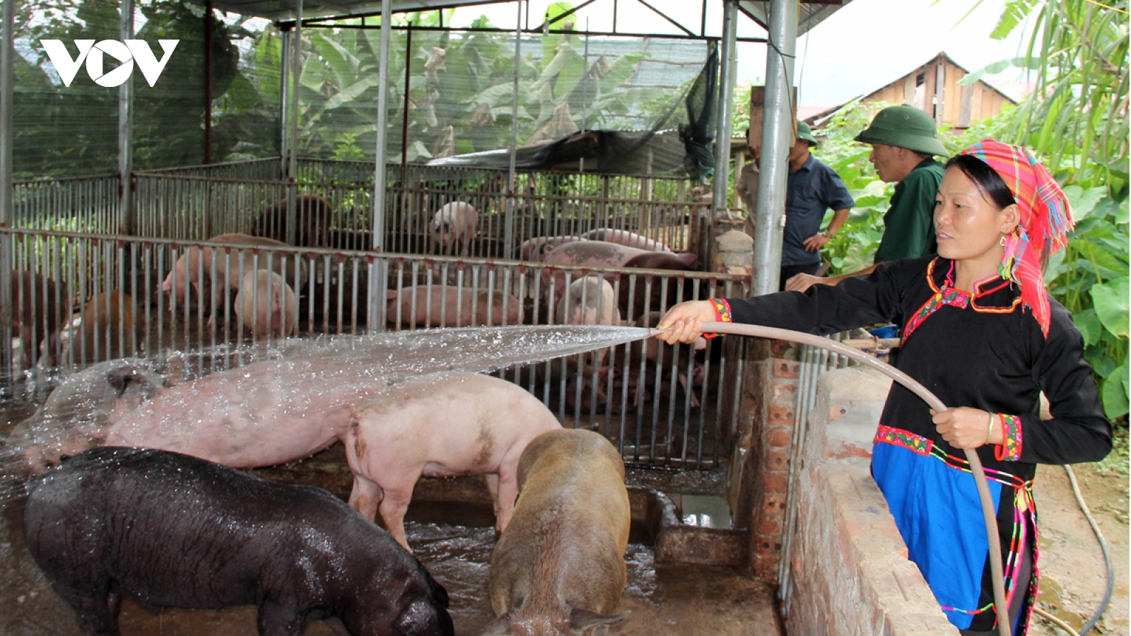 Giảm nghèo nhanh và bền vững nhìn từ “lõi” nghèo Mường Tè