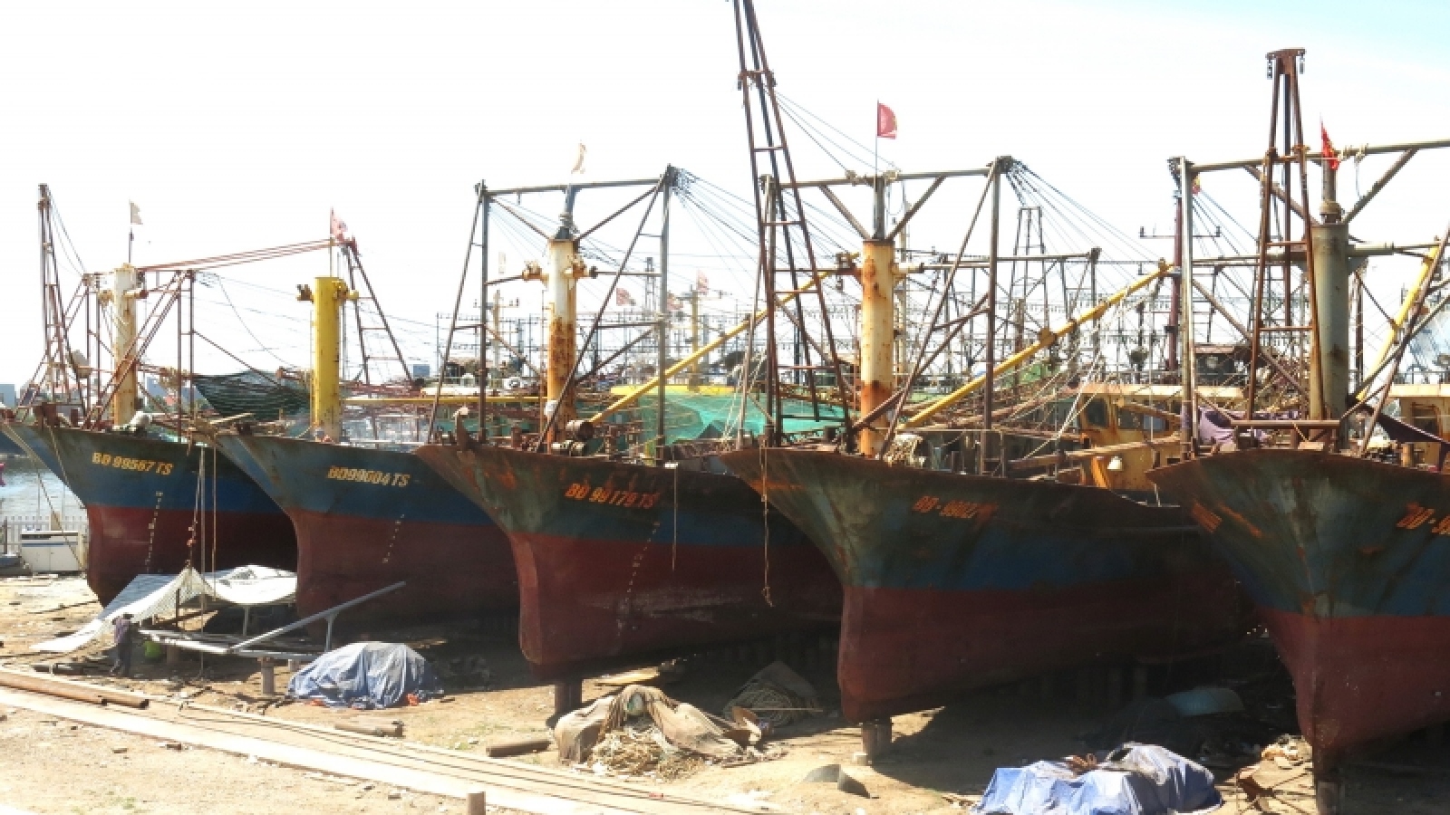 Cần sớm có chính sách “cứu tàu 67”