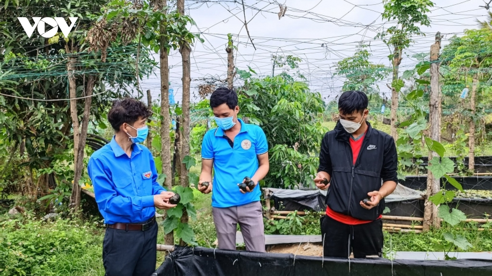 Nhiều thanh niên Đắk Lắk "đổi đời" từ các mô hình khởi nghiệp