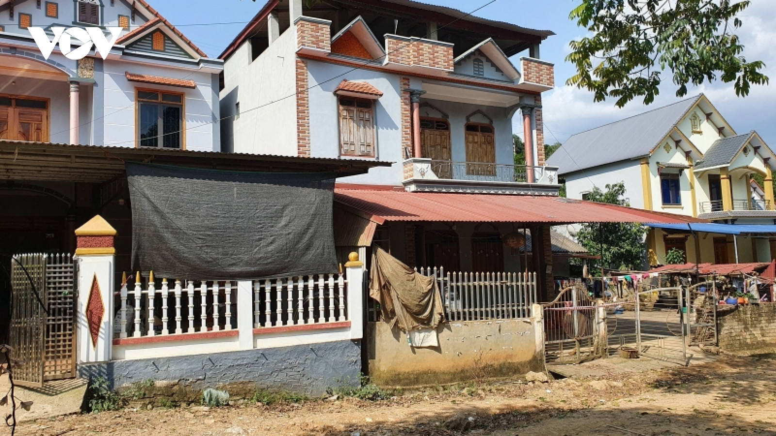 Bản “triệu phú” người Dao giàu có lên từ trồng cây đặc sản