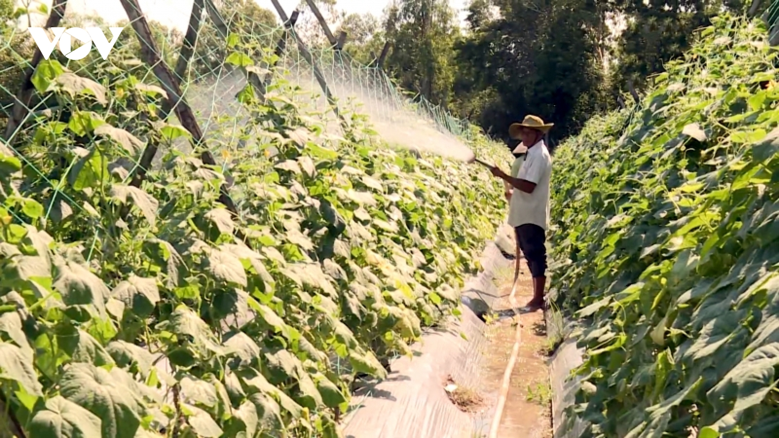 Vùng đồng bào Khmer không ngừng khởi sắc với các chương trình phát triển kinh tế