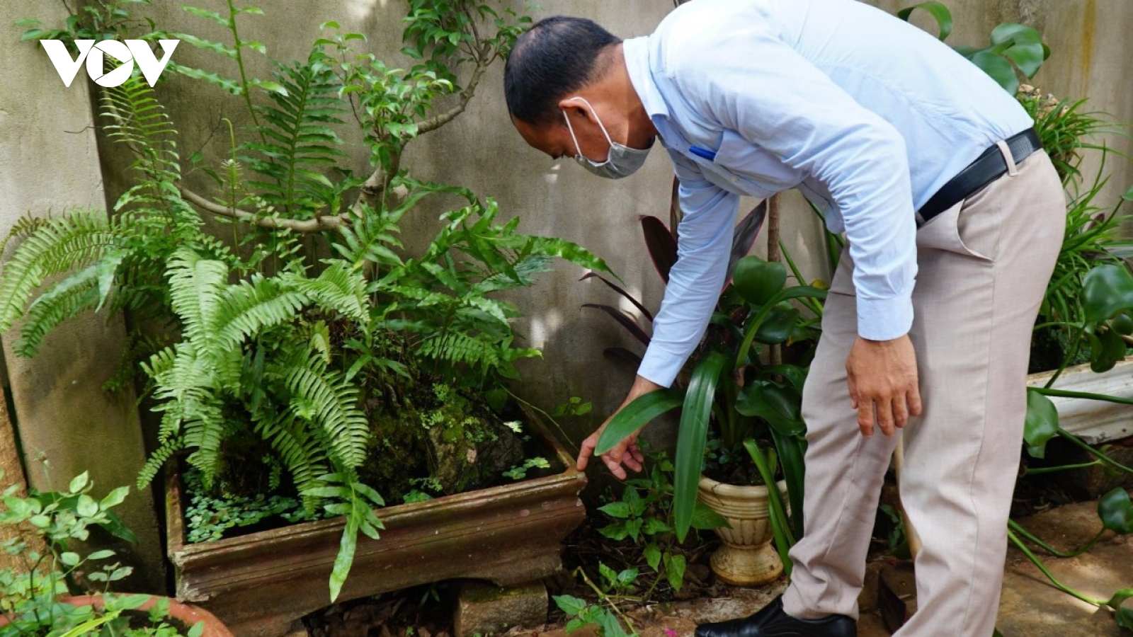 Đắk Lắk chủ động phòng sốt xuất huyết để tránh dịch chồng dịch