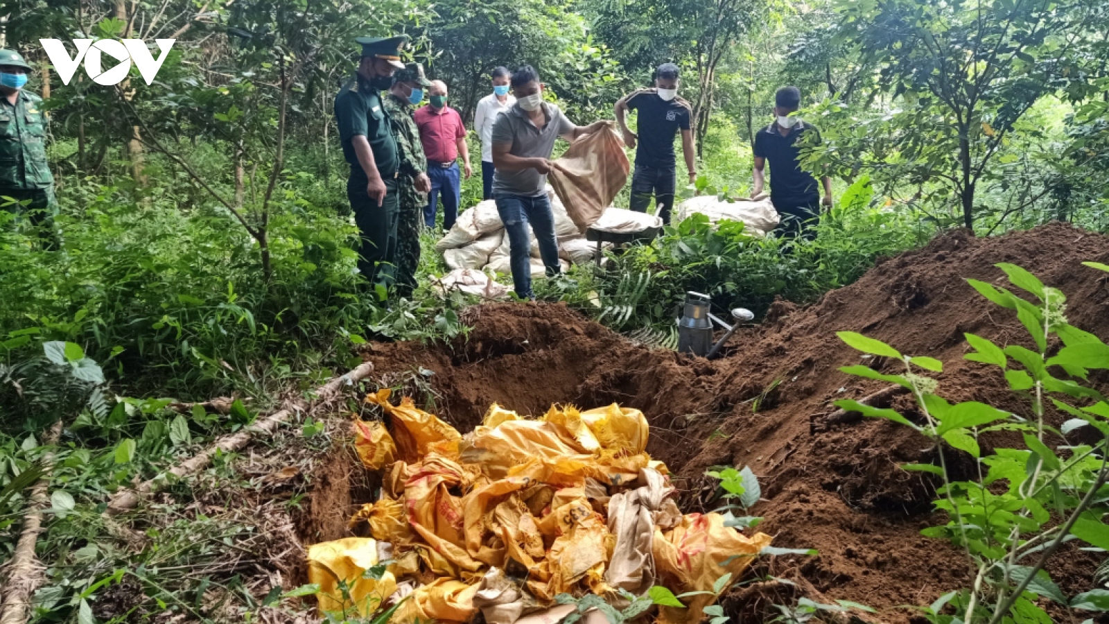 Tiêu hủy 1,2 tấn thịt trâu cấp đông không rõ nguồn gốc xuất xứ