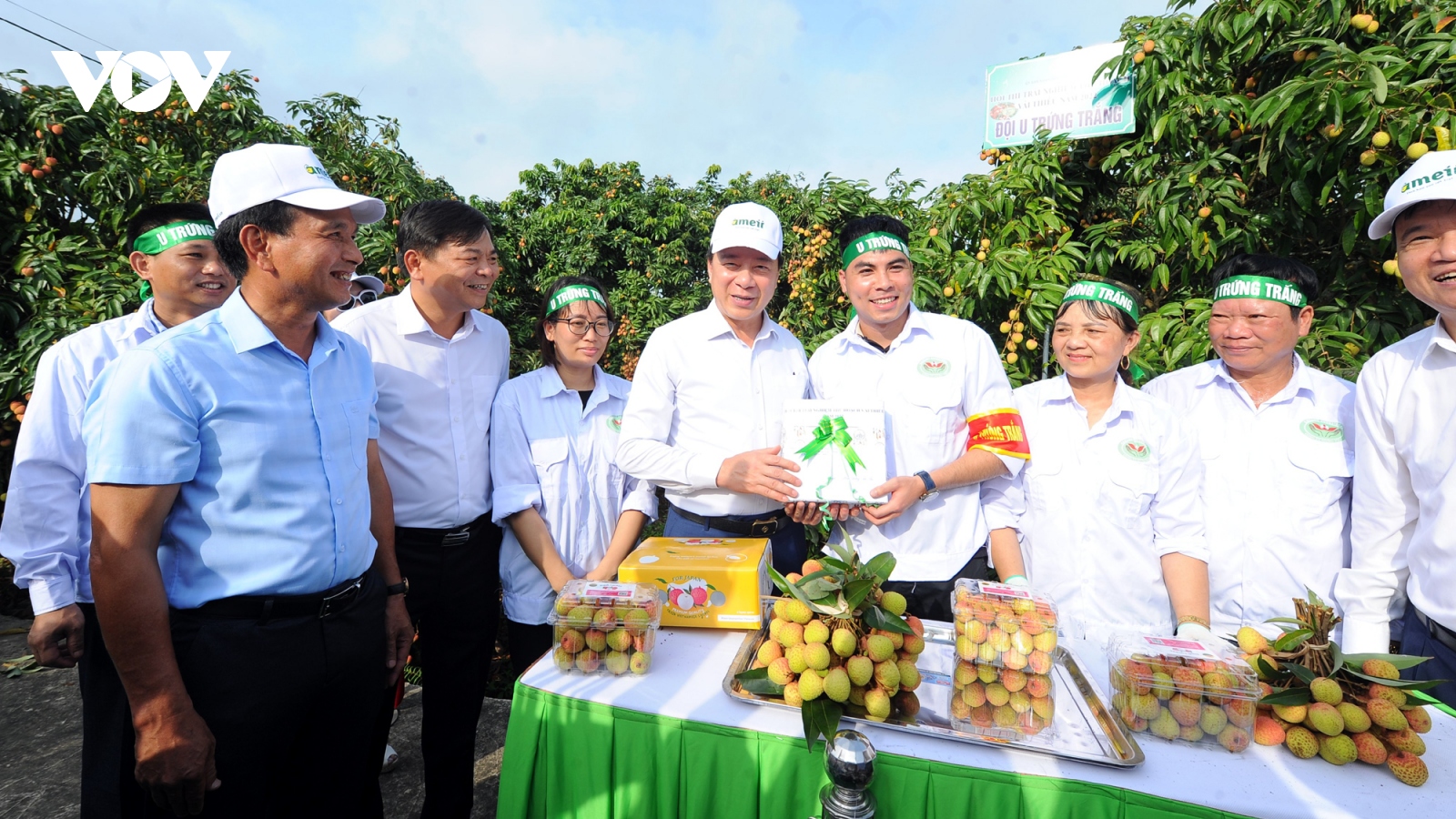 Xúc tiến thương mại vải thiều Thanh Hà và sản phẩm tiêu biểu 2022