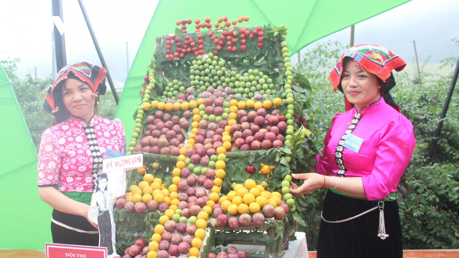 Trải nghiệm thích thú ngày hội hái quả Mộc Châu