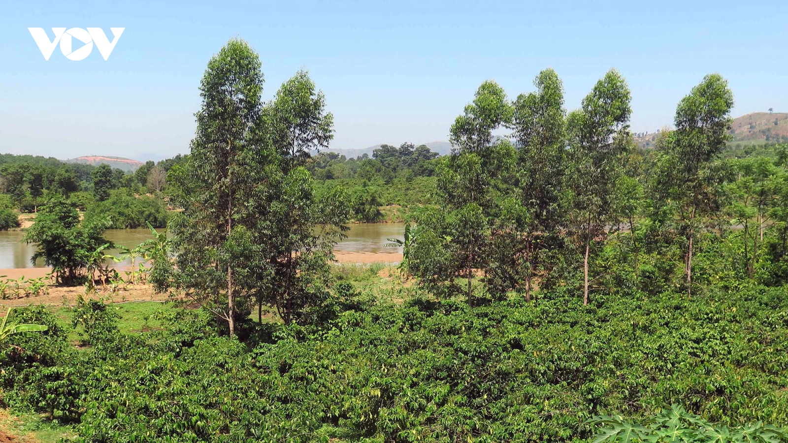 Sở Công Thương tỉnh Kon Tum ra “tối hậu thư” với thủy điện Đăk Psi 5