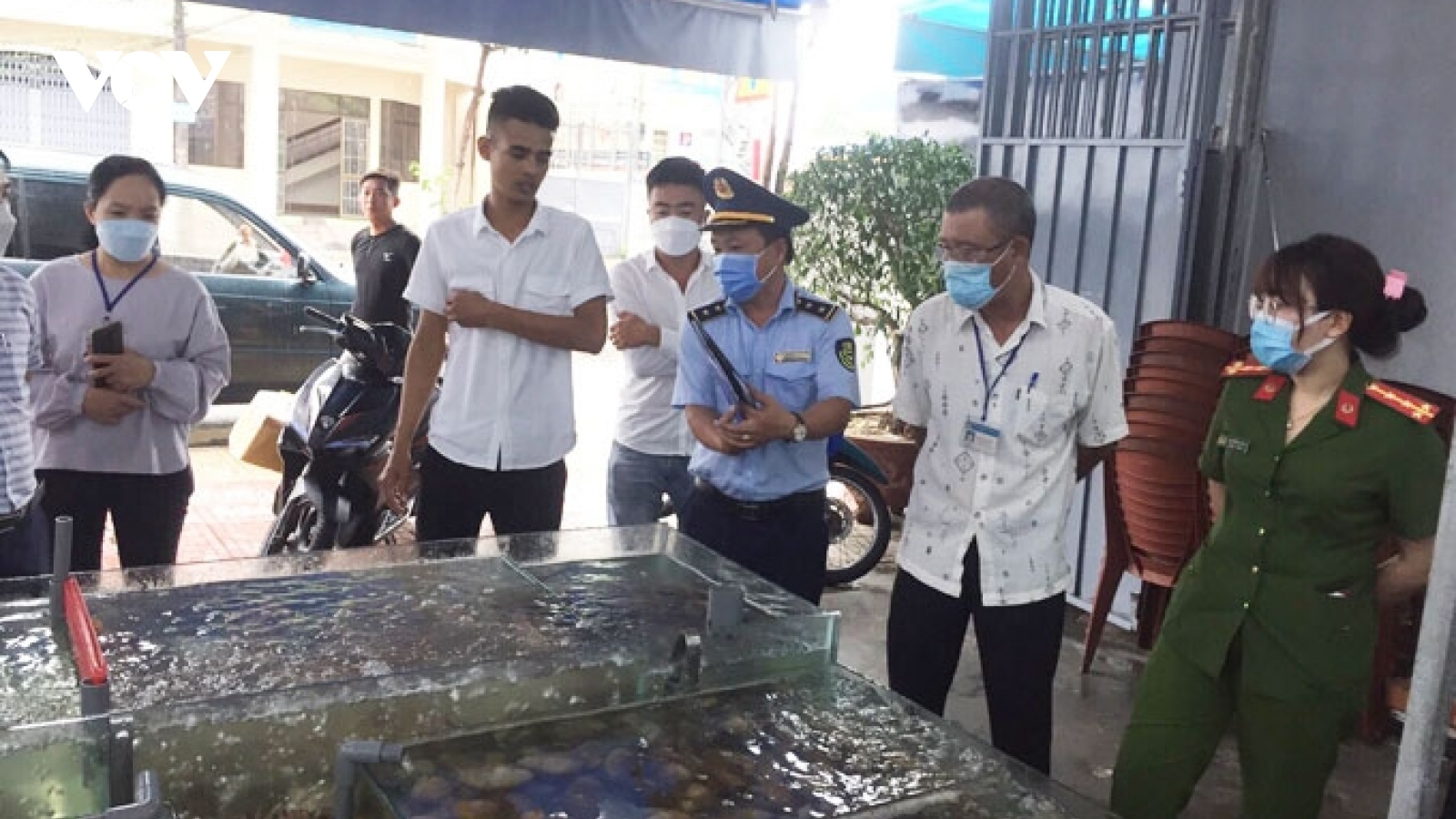 “Hóa đơn hải sản 42,5 triệu đồng”: Kiểm tra không phát hiện sai phạm