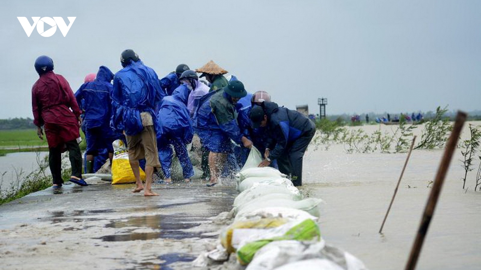 Cần nâng cấp đê bao vùng trũng Hải Lăng, tỉnh Quảng Trị
