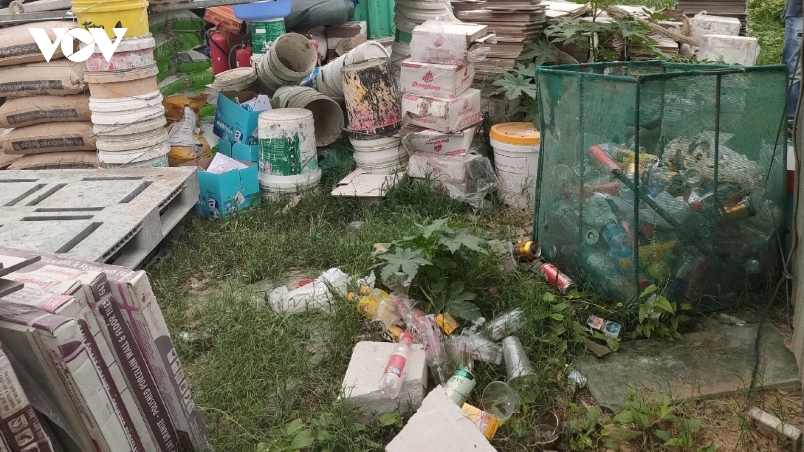 Nguy cơ tiềm ẩn sốt xuất huyết tại các công trình xây dựng ở TP.HCM