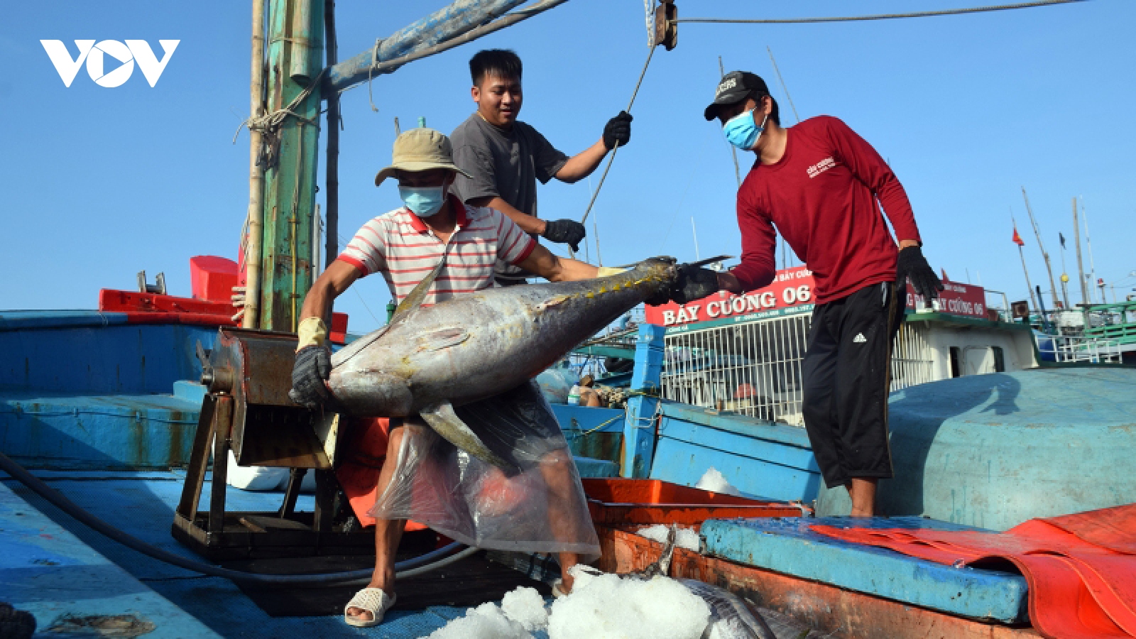 Thị trường RCEP chiếm trên 63% thị phần xuất khẩu thủy sản Việt Nam