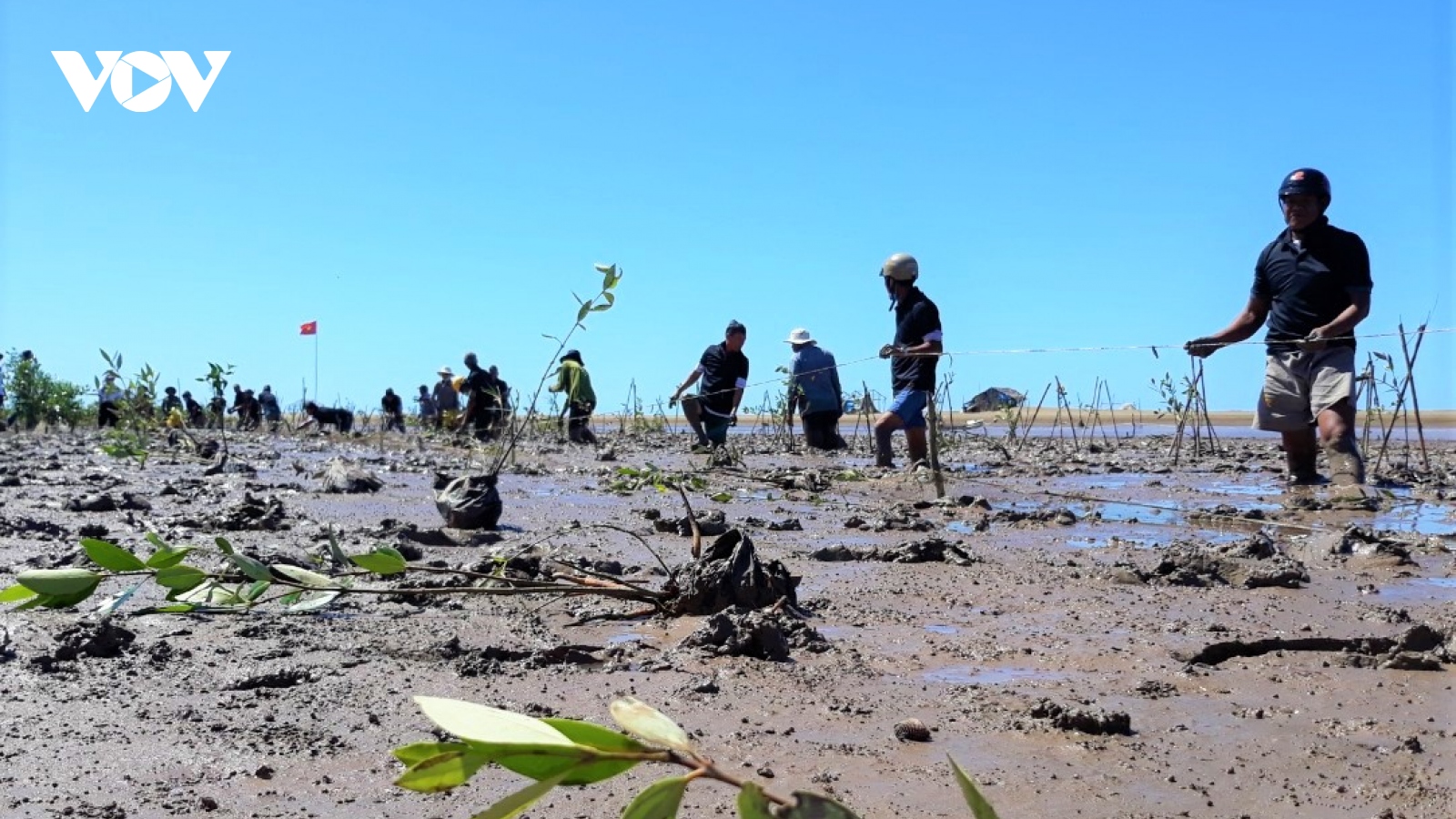 Tăng cường thích ứng với biến đổi khí hậu ven biển ĐBSCL
