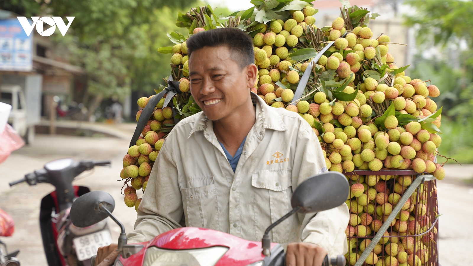 Bắc Giang tăng cường kết nối tiêu thụ cho vụ vải thiều 2022