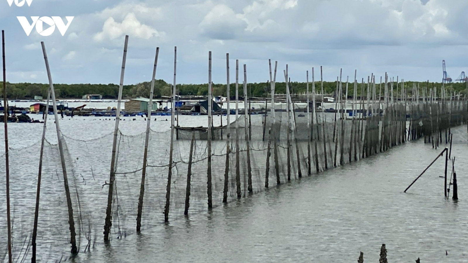 Bà Rịa - Vũng Tàu yêu cầu người dân chấm dứt nuôi thuỷ sản ngoài vùng quy hoạch